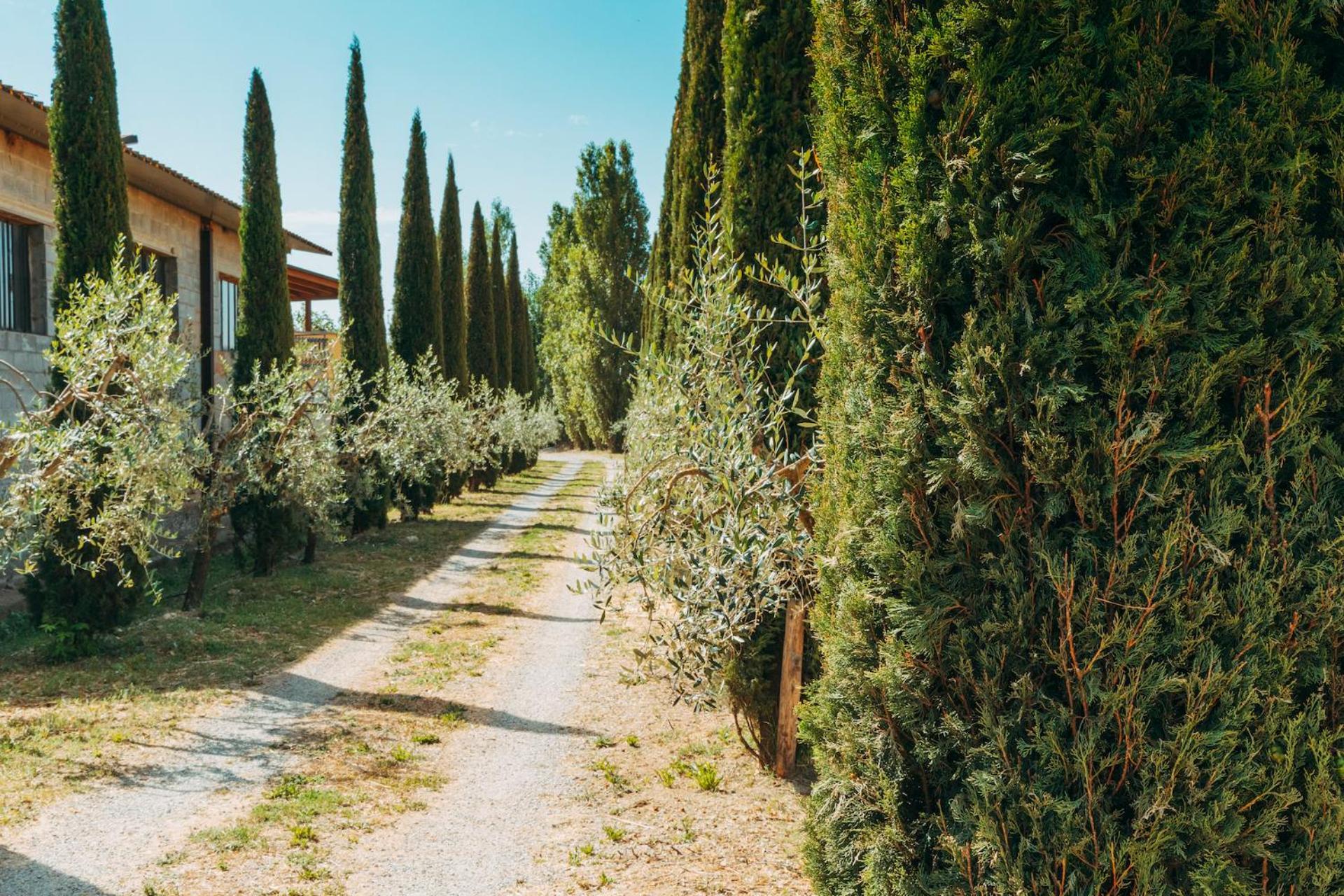 Agriturismo Il Borgo Cortona Dış mekan fotoğraf