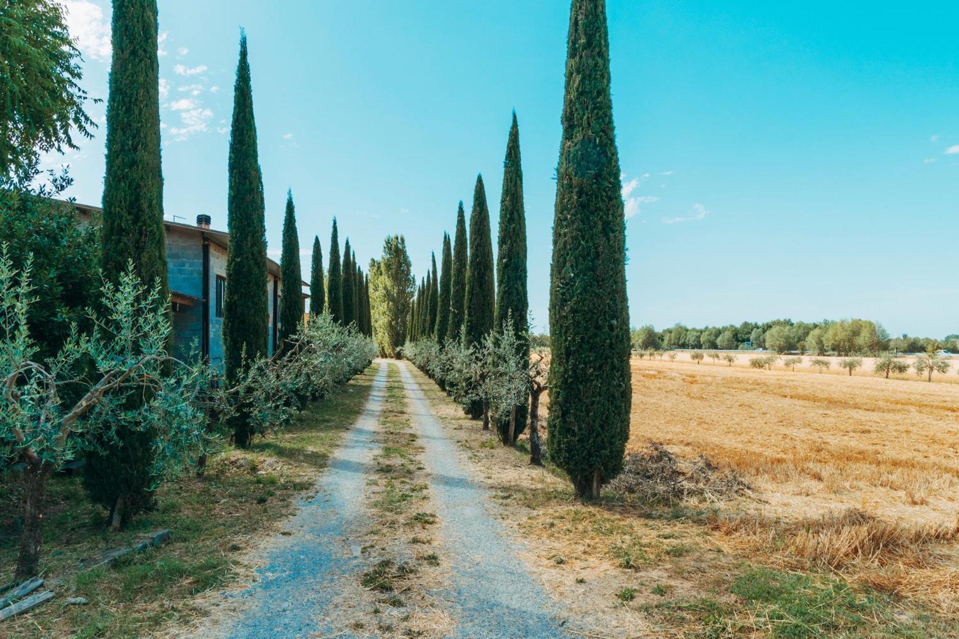 Agriturismo Il Borgo Cortona Dış mekan fotoğraf