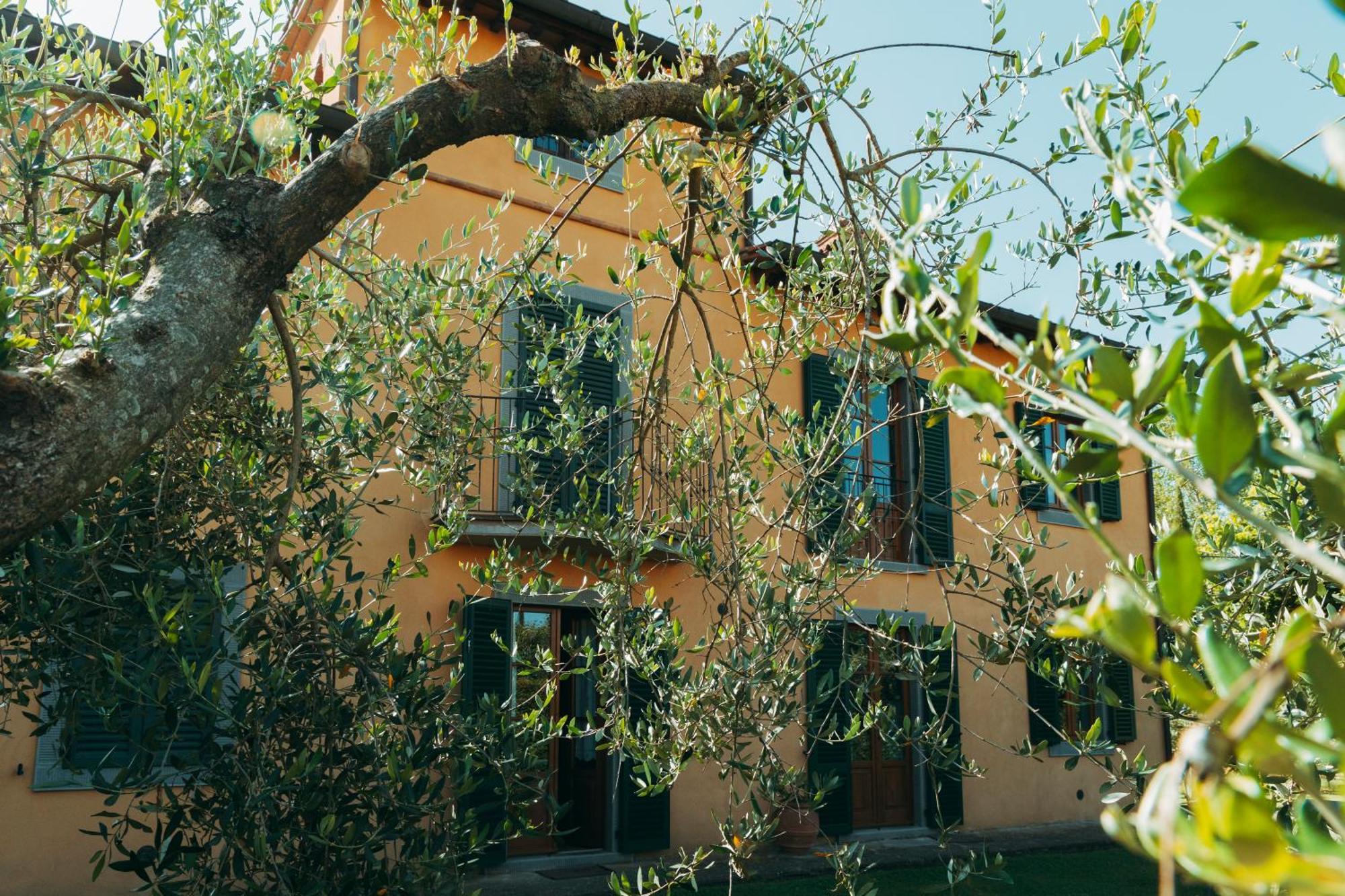 Agriturismo Il Borgo Cortona Dış mekan fotoğraf