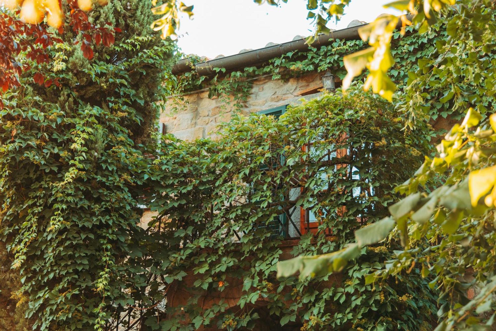 Agriturismo Il Borgo Cortona Dış mekan fotoğraf
